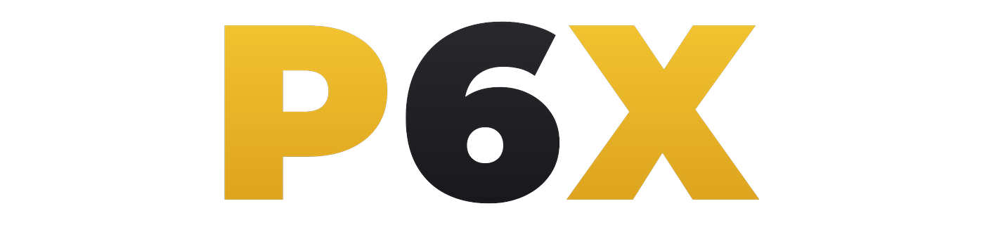 p6x Logo